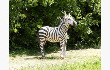 Journee Découverte Tirs Parcours