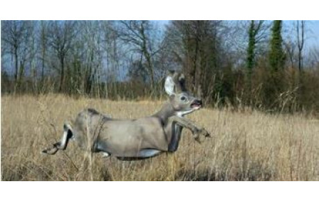  photos CONCOURS 3D du 5 juin 2022